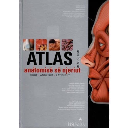 Atlas I Anatomise Se Njeriut