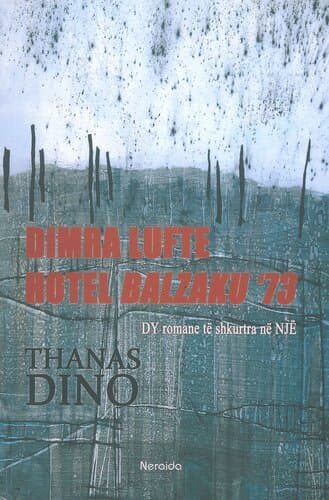 Dimra Lufta Hotel Balzaku 73