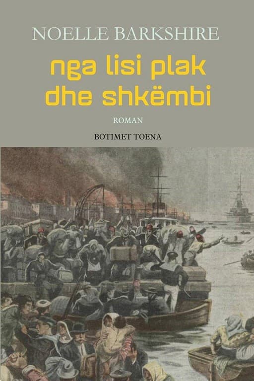 Nga lisi plak dhe nga shkembi