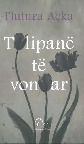 Tulipane Te Vonuar