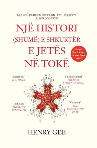 Nje Histori (shume) E Shkurter E Jetes Ne Toke